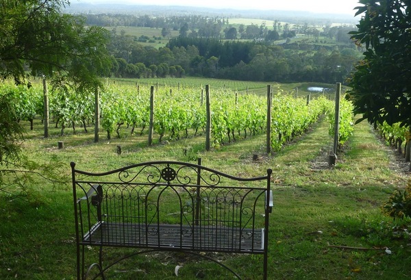 Seat to sit and look over vineyard at Grey Sands